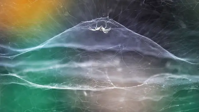 VIDYUN R HEBBAR / WPY