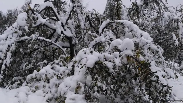 कश्मीर में बर्फ़बारी