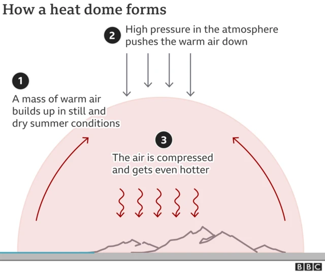 A graphic showing how heat domes are formed. 1) A mass of warm air builds up in still and dry summer conditions 2) High pressure in the atmosphere pressures the warm air down 3) The air is compressed and gets even hotter