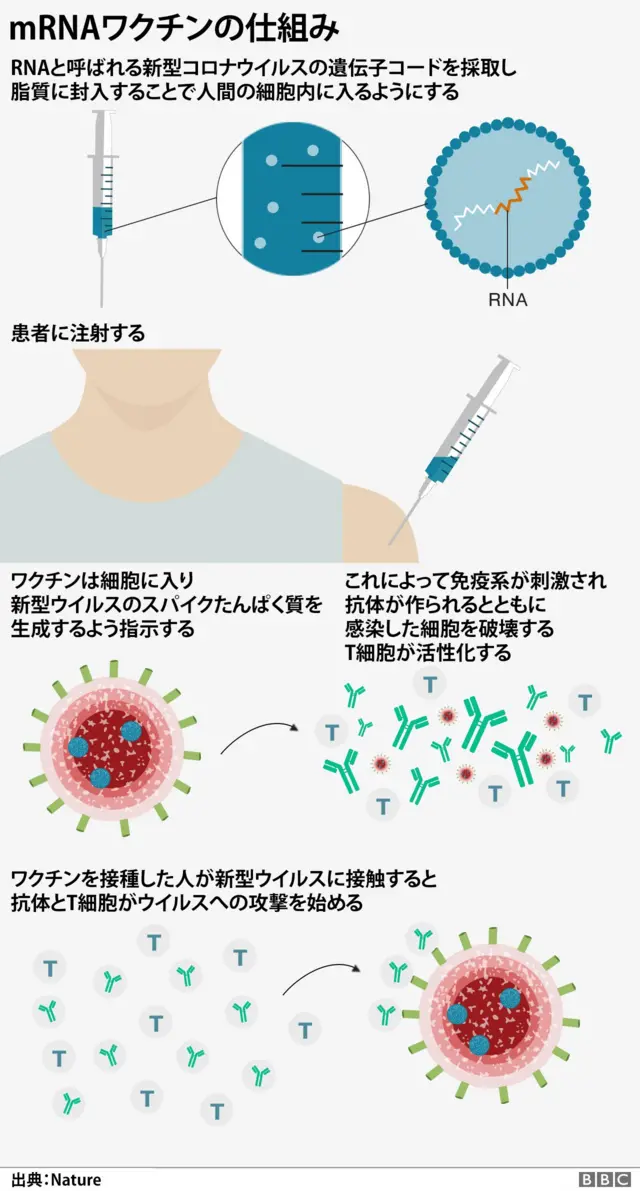 ドイツ人男性、コロナワクチンを217回接種 検査では悪影響なし - BBCニュース