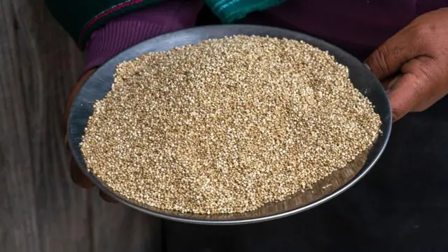 Le quinoa était un aliment de base pour les Incas.