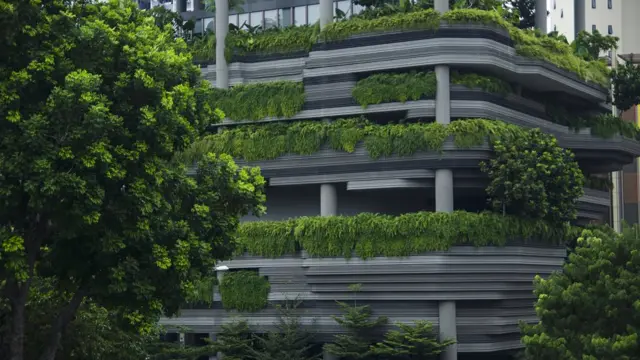 Даже простая возможность видеть из окна зеленую растительность делает вас более эффективным работником