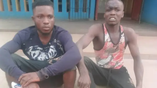 Ndị a na-eche na ha bụ ndị ohi