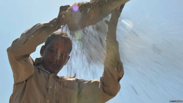 किसान, नरेंद्र मोदी, भारत कृषि