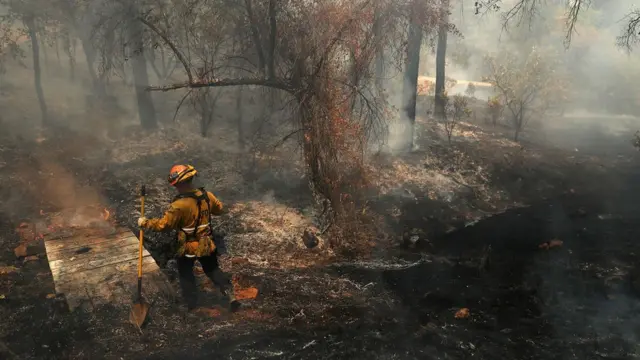 Пожежі в Каліфорнії