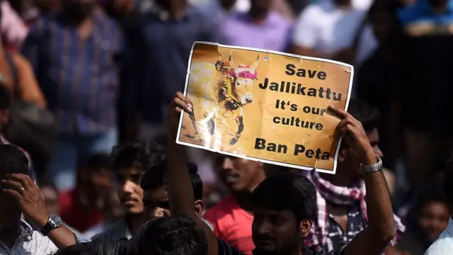 ஜல்லிக்கட்டு