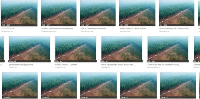 අන්තර්ජාලය