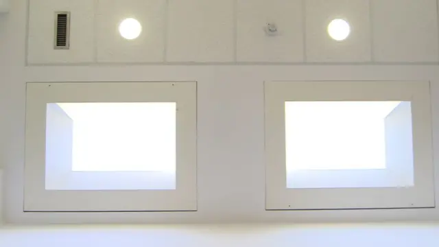 자연 태양빛을 흉내낸 인공 조명이 치료에 사용된다