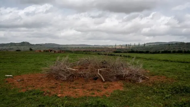 La fosse commune où sont enterrées les victimes tuées par les bergers Peuls.