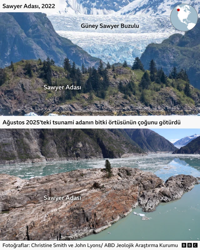 Yukarıdaki görüntü, bir fiyort içinde, iki dağ arasında yer alan ve yeşil bitki örtüsü ve ağaçlarla kaplı bir adayı gösteriyor. Arka planda devasa, buz mavisi bir buzul bulunuyor. Aşağıdaki görüntüde ise buzulun eridiği ve adanın, tek bir ağaç dışında bitki örtüsünden tamamen arındığı görülüyor.