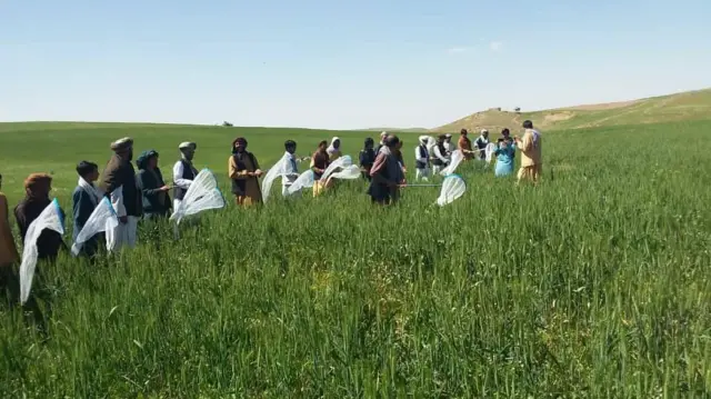 مبارزه فیزیکی با کفشک در افغانستان