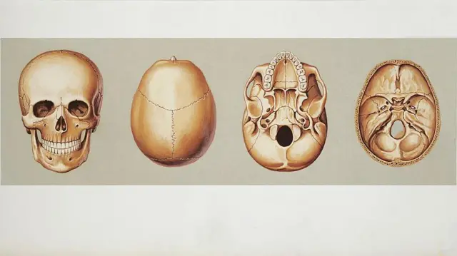 தலையில் தேங்காய் உடைக்கும் வேண்டுதல் மண்டை ஓட்டின் தாங்குதிறனை பாதிக்குமா?