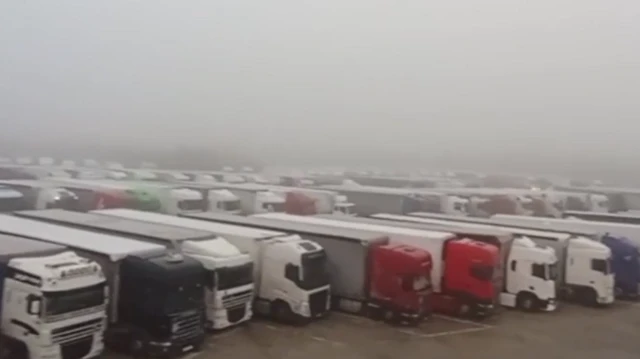 На фото, сделанном пресс-службой Государственного таможенного комитета Беларуси, - десятки фур в несколько рядов на штрафной стоянке. Последний ряд почти не видно из-за тумана 