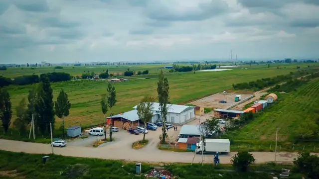 Бишкектин жакасындагы 200 гектар жерде мөмө-жемиштин түрү өсөт 