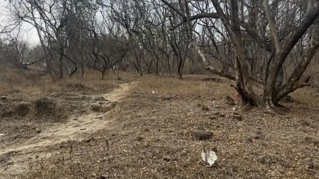 वेताळ टेकडी