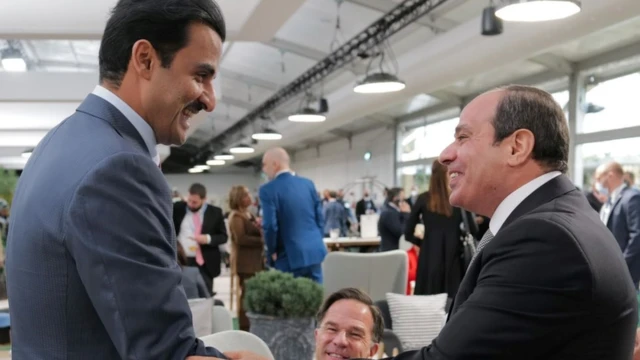 السيسي وتميم