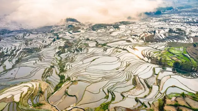 ہونگے ہانی رائس ٹیرسز