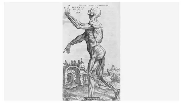 Tulisan pada buku teks anatomi dari 1543, De humani corporis fabrica, yang menampilkan jaringan otot tubuh manusia berdiri di depan reruntuhan kuno, sebagai pengingat akan proses pembusukan.