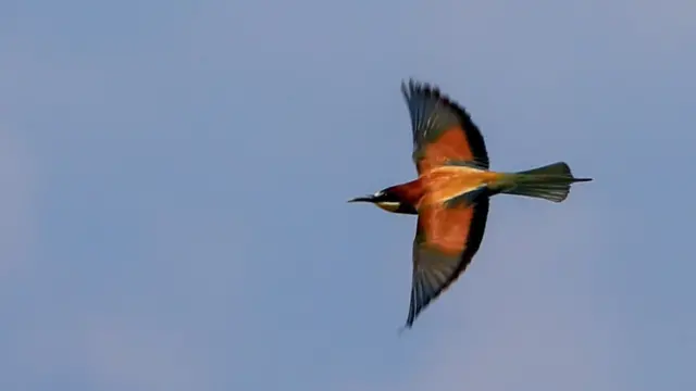 சூழலியல் மீதான போர்: நாம் தெரிந்துகொள்ள வேண்டிய 5 தகவல்கள்