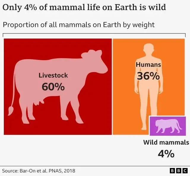 وزن کے لحاظ سے دنیا میں سب سے زیادہ پالتو جانور ہیں، پھر انسان اور پھر جنگلی جانور