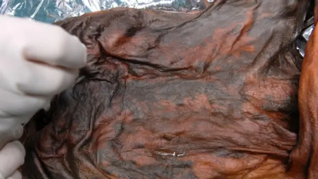 మంచు మనిషి