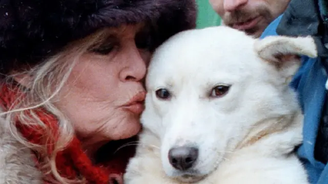 بریژیت باردو و سگش