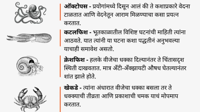 ग्राफिक्स