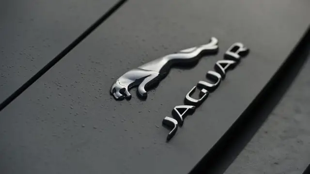jaguar