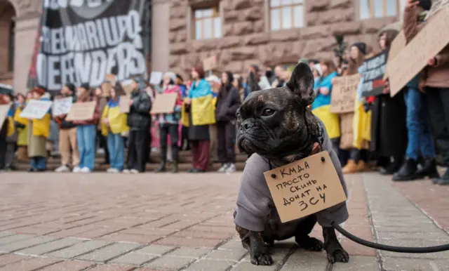 Biểu tình đòi minh bạch và tăng ngân sách quân sự ở Kyiv