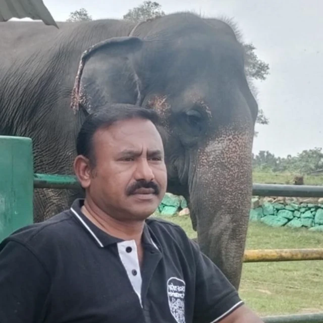 ఏనుగులు, వైల్డ్లైఫ్