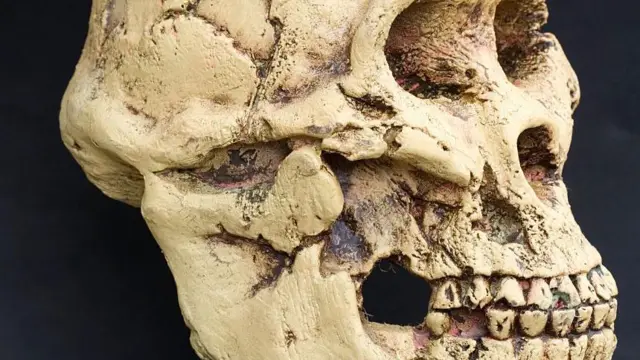 Reconstrucción de cómo podría haber sido el cráneo de Lucy.