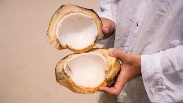 બીબીસી ગુજરાતી, ગુજરાત, નારિયેળ, બીબીસી