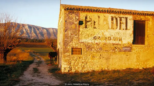Vista de las montaña de Sainte-Victoire