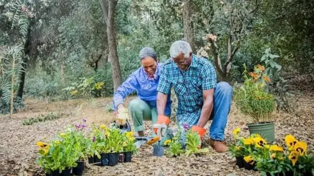 Shughuli kama vile bustani zinapendekezwa ili kuboresha uimara wako 