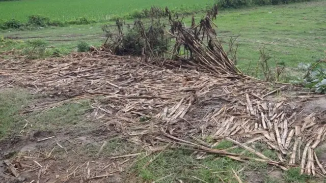 وہ جگہ جہاں پانچوں افراد کو '‍زندہ جلا دیا گيا'