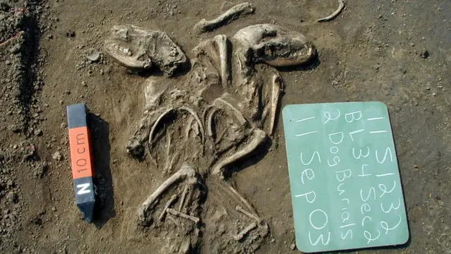 Sítio de escavação no Illinois, EUA