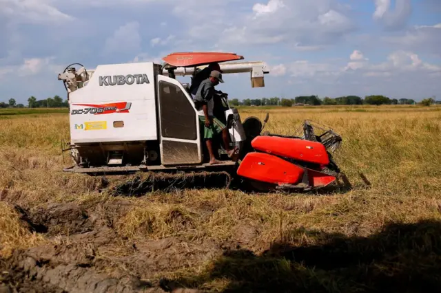 စက်သုံးပေမဲ့ လုပ်သားအင်အား လိုအပ်နေတဲ့ လယ်ယာလုပ်ငန်းခွင် (ပုံဟောင်း)