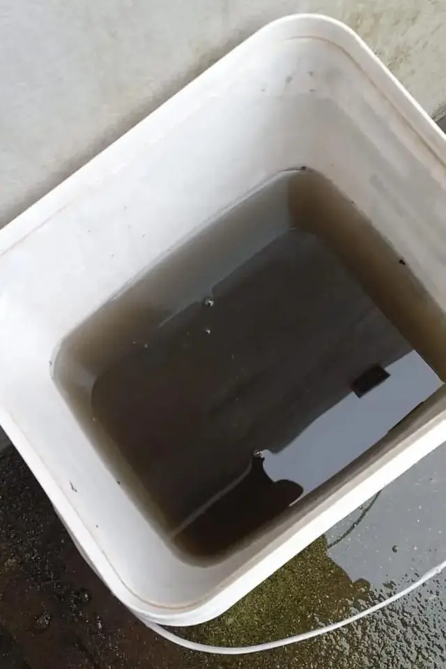 பிரேசிலில் கருப்பு மழை