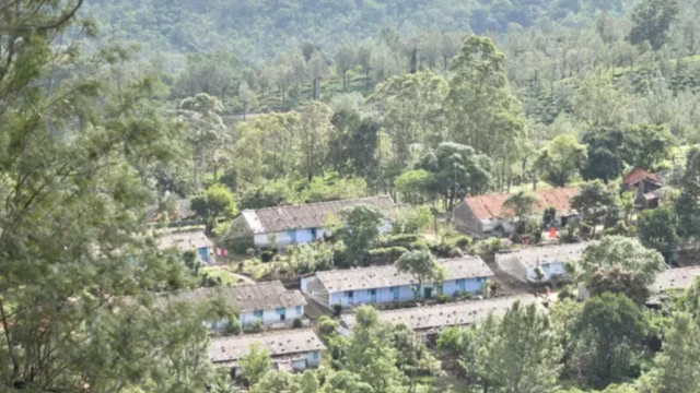 மாஞ்சோலை தேயிலைத் தோட்ட விவகாரம்