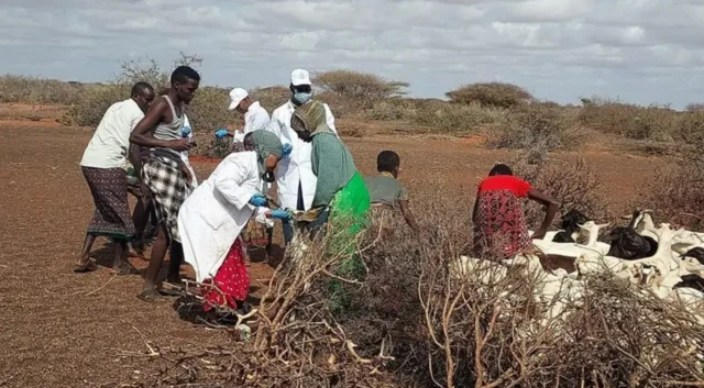 Mega lesbian porno onlayn Ikki qiz ortasidagi jinsiy aloqa