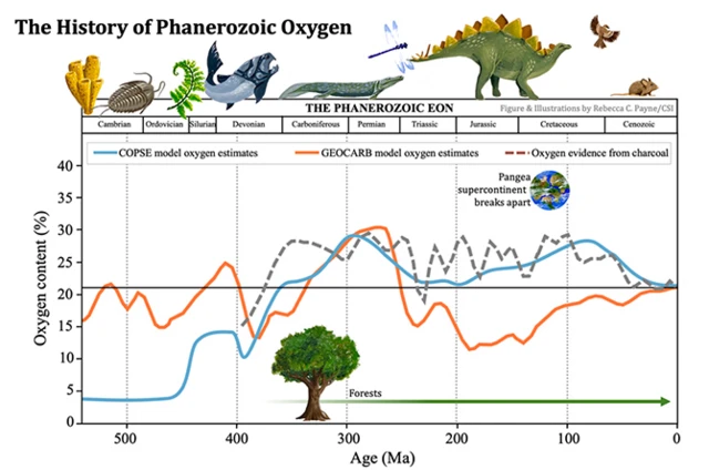 เส้นกราฟแสดงปริมาณออกซิเจนตลอดช่วงบรมยุคฟาเนอโรโซอิก (Phanerozoic Eon)