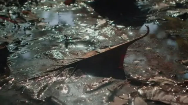 महामारी