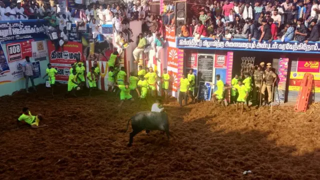 ஜல்லிக்கட்டு