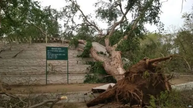 उत्तर भारतात वादळामुळे झालेले नुकसान