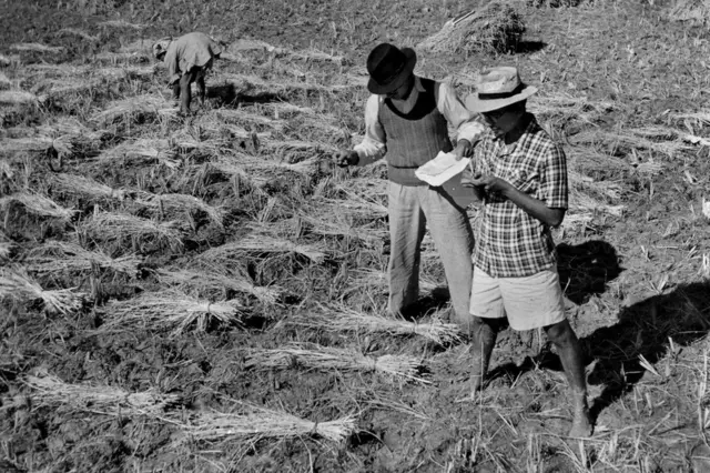 స్టాటిస్టిక్స్