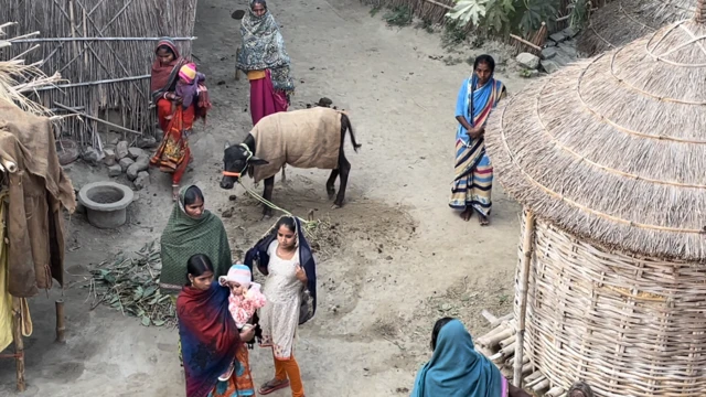 बिहार के सारण ज़िले के बहरौली टोले की तस्वीर