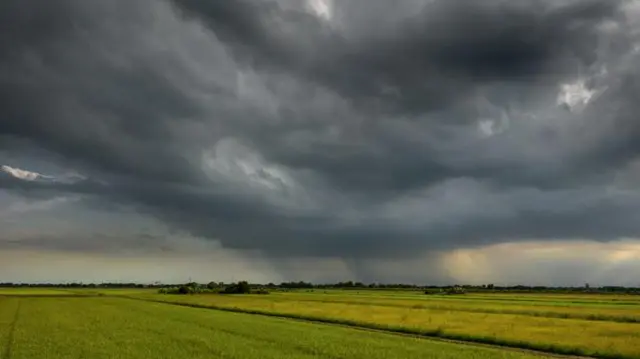 ગુજરાત વરસાદ