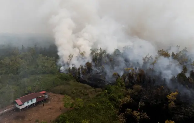 Kebakaran hutan dan lahan mendekati sebuah rumah di Palangka Raya, Kalimantan Tengah, pada 14 Agustus 2026.