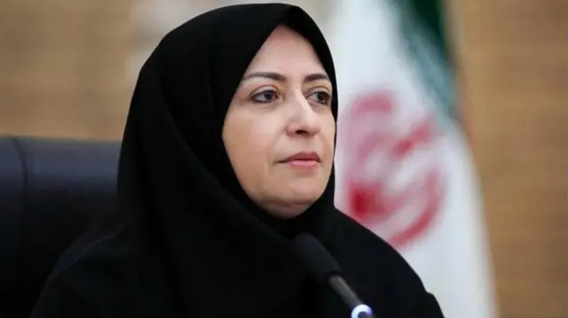 شینا انصاری، رئیس سازمان حفاظت محیط زیست ایران