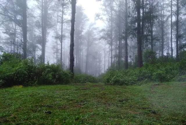 யானை வழித்தடங்கள்